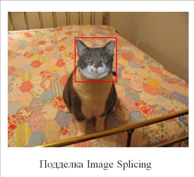 ZORG